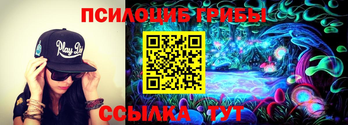 Псилоцибиновые грибы Magic Shrooms Гурьевск